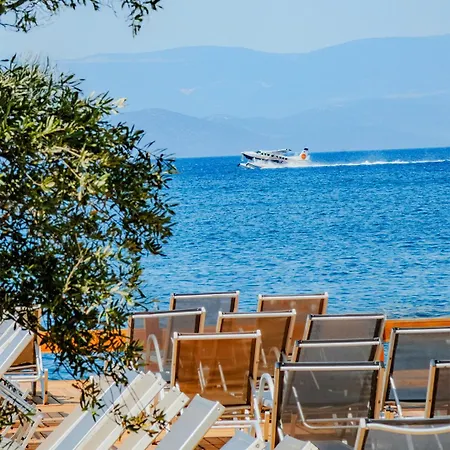 Hotell Orkide