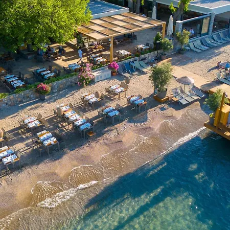 Orkide Hotell