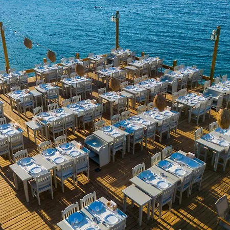 Orkide Hotell