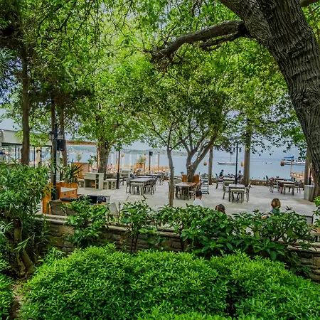 Orkide Hotell Bodrum