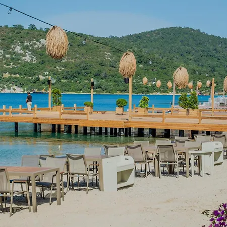 Orkide Bodrum
